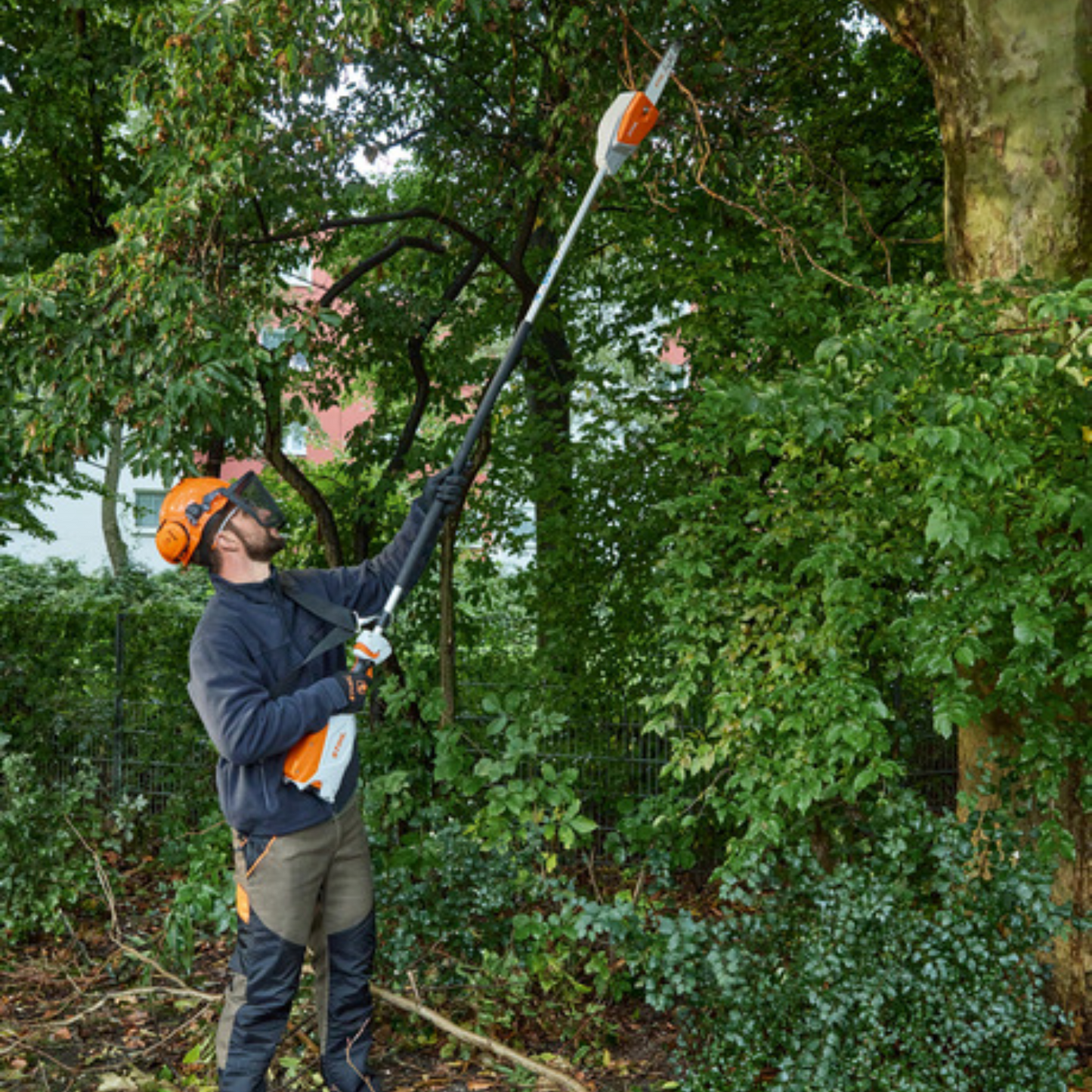 STIHL HTA 66 Fixed Length Battery Powered Pole Pruner | PROMO
