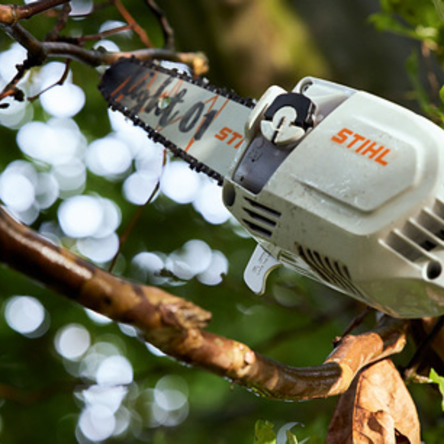 STIHL HTA 86 Telescopic Battery Powered Pole Pruner | PROMO