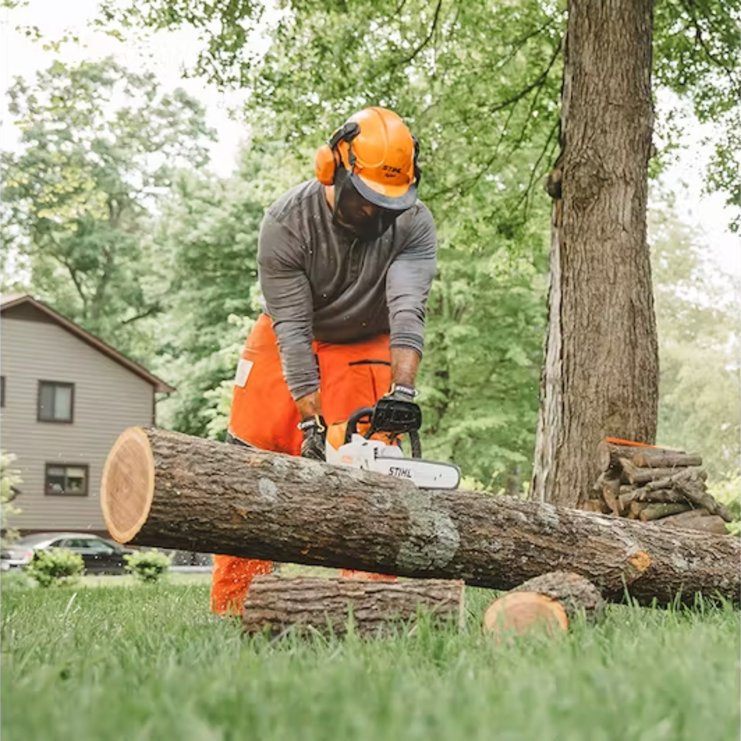 STIHL MSA 220 C-B Battery Powered Chainsaw with Battery & Charger | PROMO